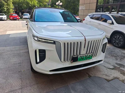 2021 Hongqi E-HS9 460km Flagship Comfort 6-seater, фото 3, лот 10289162