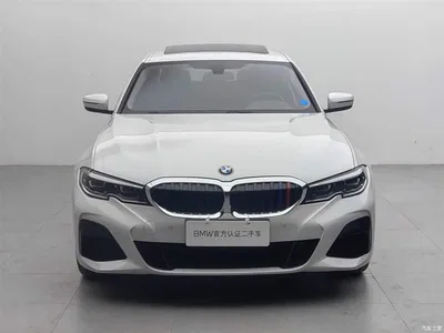 2021 BMW 3 Series 320Li M Sport Package, фото 2, лот 10575229