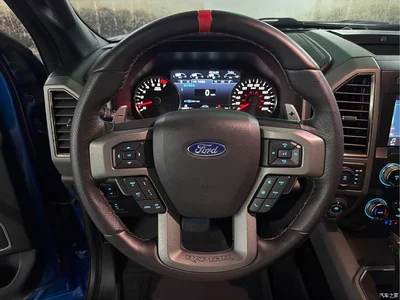2019 Ford F-150 Raptor 3.5T Raptor Performance Enhanced Edition, фото 4, лот 10277833