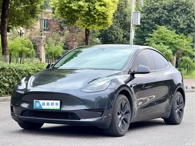 2024 Tesla Model Y Rear-Wheel Drive Version, фото 1, лот 11089645