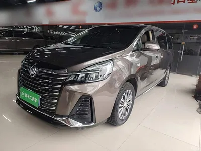 2023 Buick GL8 Facelift Land Business Class Luxury, фото 1, лот 10258869