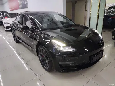 2022 Tesla Model 3 Performance High-Performance AWD, фото 4, лот 10370522