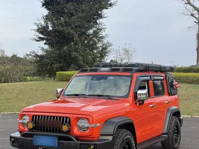 2021 Tank 300 Off-road Version 2.0T Conqueror, фото 2, лот 10345519