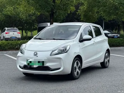 2021 Changan Benben E-Star National Edition Colorful Version (Fast Charge) LFP (31.95kWh), фото 3, лот 11087344