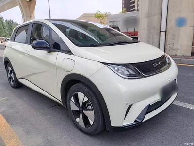 2023 BYD Dolphin 420km Fashion Edition, фото 4, лот 10264049