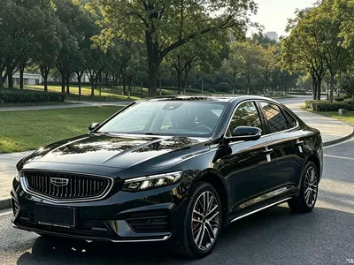 2021 Geely Xing Rui 2.0TD Elite, фото 1, лот 10667367