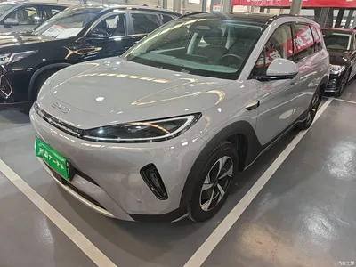 2025 BYD Hai Shi 05 EV 520KM Smart Navigation Edition, фото 2, лот 11461537