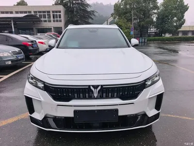 2024 Voyah Auto VOYAH FREE Ultra Long Range Intelligent Driving Edition, фото 3, лот 11134454