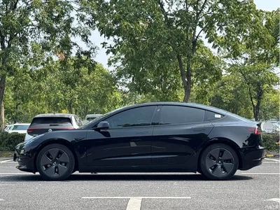2022 Tesla Model 3 Model Rear-Wheel Drive Version, фото 3, лот 11088656