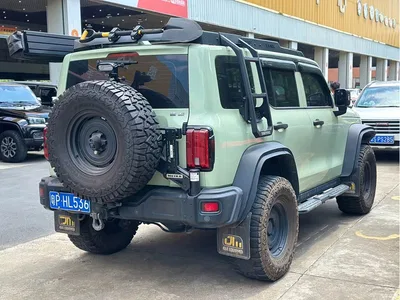 2021 Tank 300 2.0T Wind Forest Iron Cavalry, фото 4, лот 10450327