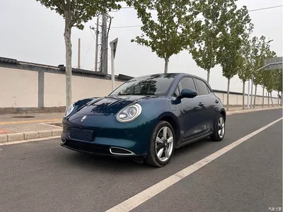 2021 Ora Good Cat 400km Standard Range Athena Edition (LFP), фото 1, лот 10332069