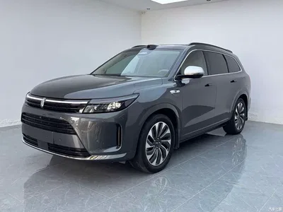 2024 AITO Wenjie AITO M7 1.5T Smart AWD Max 6-Seater, фото 1, лот 10616807