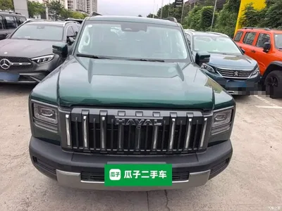 2025 Haval Menglong 2.0T 4WD Ultra, фото 3, лот 10285293