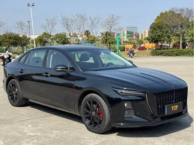 2025 Hongqi H5 1.5T DCT Mystic Shadow 2 Million Edition, фото 3, лот 11178334