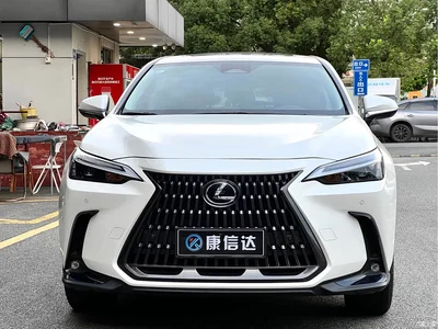 2023 Lexus NX 260 FWD Joy Creation Edition, фото 2, лот 11548315