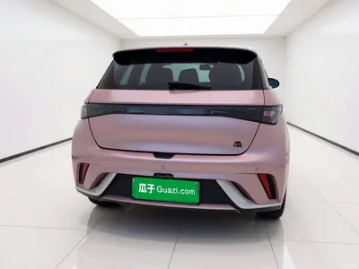 2023 BYD Dolphin 420km Fashion Edition, фото 3, лот 11103563