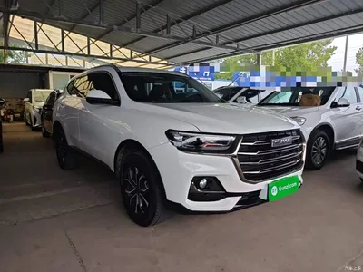 2021 Haval H6 National Trend Edition 1.5T Automatic Urban Edition, фото 4, лот 11412321