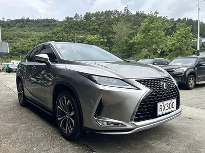 2020 Lexus RX 300 4WD Elegance Edition China VI, фото 3, лот 10313782