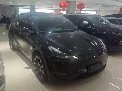 2021 Tesla Model Y Standard Range Rear-Wheel Drive, фото 4, лот 11249745
