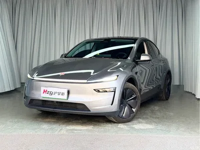 2025 Tesla Model Y Rear-Wheel Drive, фото 1, лот 11548927