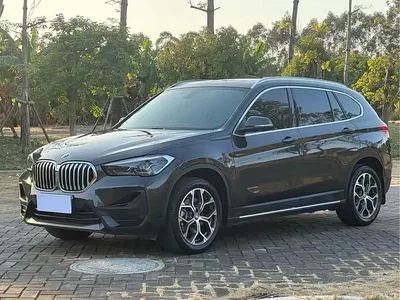 2023 BMW X1 xDrive25Li X Design Package, фото 1, лот 11527880