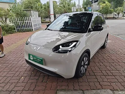 2023 Wuling Motors Wuling Bingo Model 333km Joy+ Version, фото 1, лот 10374978