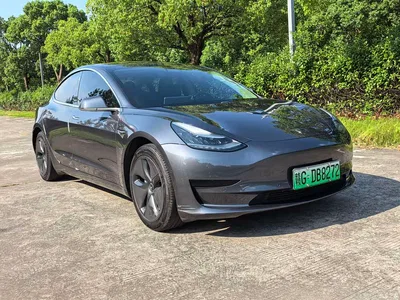 2020 Tesla Model 3 Standard Range Rear-Wheel Drive Upgrade, фото 3, лот 10621777