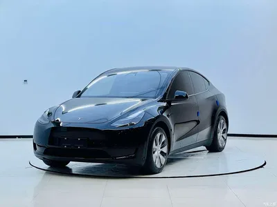 2023 Tesla Model Y Rear-Wheel Drive Edition, фото 1, лот 10393956