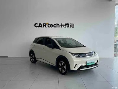 2025 BYD Dolphin 420km Freedom Edition, фото 3, лот 10764795