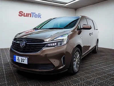 2020 Buick GL8 Land Business Class 652T Premium, фото 1, лот 10257608