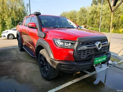 2020 Great Wall Pao 2.0T Off-Road Auto Gasoline 4WD Premium Edition GW4C20B, фото 4, лот 10248838