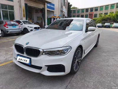 2019 BMW 5 Series Facelift 530Li Premium M Sport Package, фото 1, лот 11133050