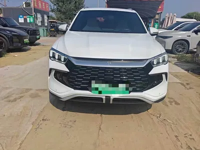 2024 BYD Song Pro New Energy Glory Edition DM-i 71KM Pilot, фото 1, лот 10273239