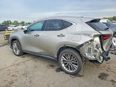2024 LEXUS NX 350H LUXURY, фото 2, лот 10900651