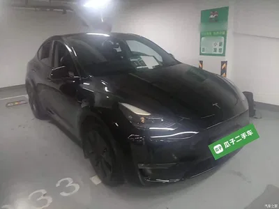 2023 Tesla Model Y Long Range All-Wheel Drive Edition, фото 4, лот 10374118