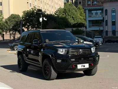 2024 Tank 700 New Energy Hi4-T Ultimate Edition, фото 2, лот 11580352