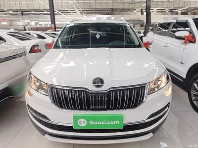 2021 Škoda Karoq TSI280 Luxury Edition, фото 3, лот 10389591