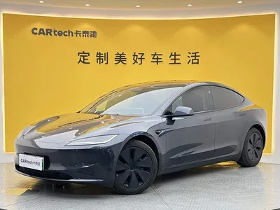 2025 Tesla Model 3 Model Rear-Wheel Drive Edition, фото 1, лот 11098830