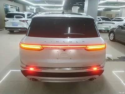 2022 Lincoln Adventurer Facelift 2.0T 2WD Zunya Edition, фото 4, лот 10357544