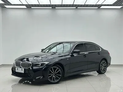 2023 BMW 3 Series 320Li M Sport Package, фото 1, лот 11190906