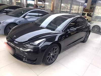2022 Tesla Model 3 Model Rear-Wheel Drive Version, фото 1, лот 10369894