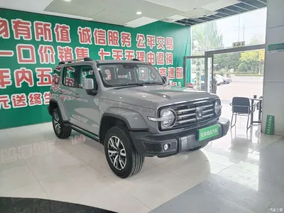2023 Tank 300 Urban Edition 2.0T Very Stylish, фото 2, лот 11178993