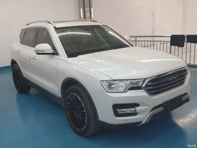 2016 Haval H7 Blue Label H7 2.0T Automatic Luxury, фото 4, лот 10302657