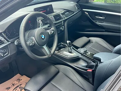 2019 BMW 3 Series GT 320i M Sport Package, фото 4, лот 10898743
