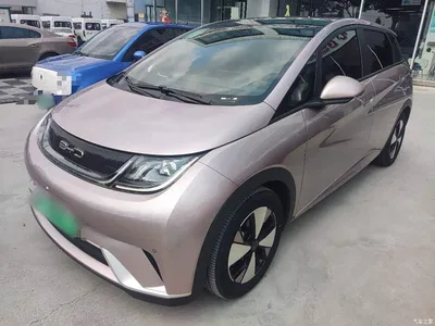 2023 BYD Dolphin 420km Fashion Edition, фото 2, лот 10260650