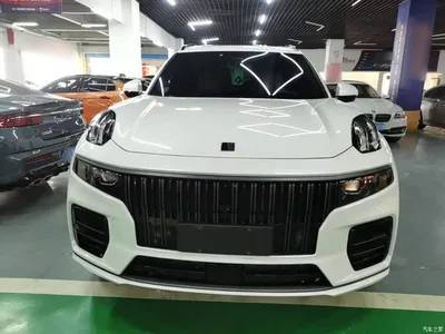2021 Lynk & Co 09 2.0T Halo 6-Seater, фото 3, лот 10317018