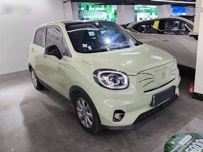 2022 Leapmotor T03 Star Diamond Edition, фото 4, лот 10442409