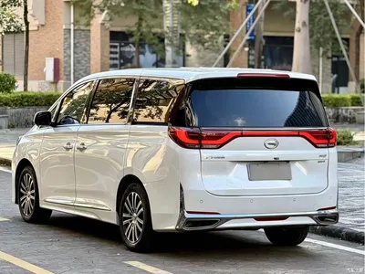 2020 GAC Trumpchi Trumpchi M8 Pilot 390T Prestige Edition, фото 4, лот 11197590