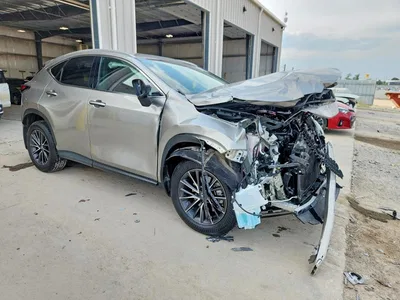 2024 LEXUS NX 350H PREMIUM, фото 4, лот 10904834