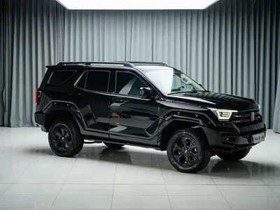 2024 Tank 400 New Energy Hi4-T Urban Edition, фото 3, лот 11536968